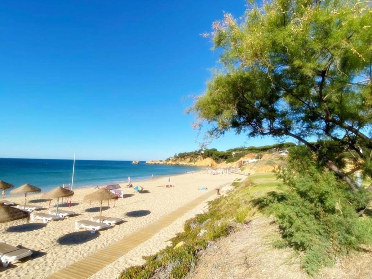 Coral By Albufeira Rental Eksteriør billede